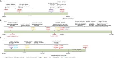 Dynamic Colonization of Klebsiella pneumoniae Isolates in Gastrointestinal Tract of Intensive Care Patients